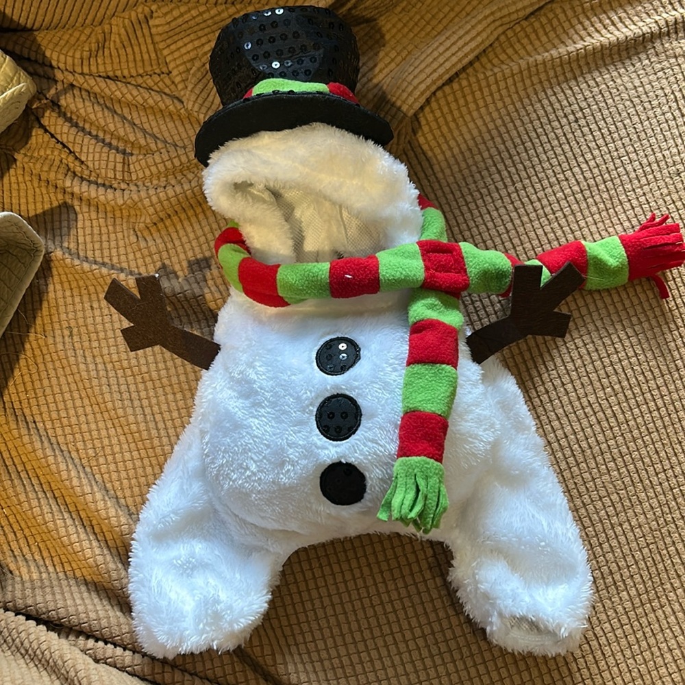 Cute Snowman dog costume